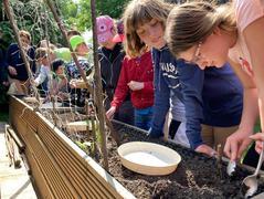 V bylinkové zahrádce