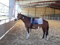 Tradičně na Haldě