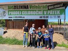 Jak se pěstuje biozelenina