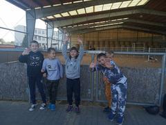 Ze hřbetu koně....