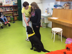 Když zvířata pomáhají