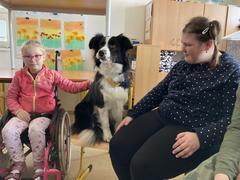 Hodinoví spolužáci