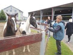 Dobrodružství na Haldě