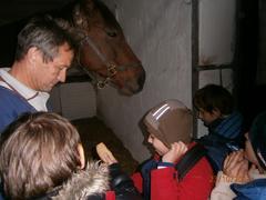 Exkurze do konírny v Uh. Brodě