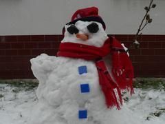 Sněhulák na Bělince