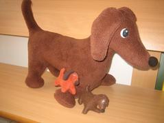 CANISTERAPIE ve škole