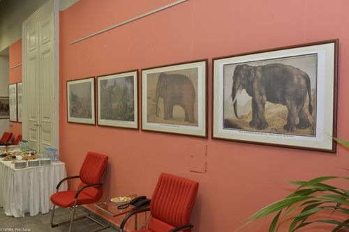 20130429_06.jpg, 500x333, 26.44 KB