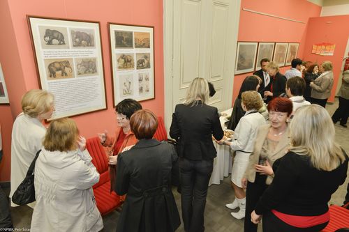 20130429_54.jpg, 500x333, 35.34 KB